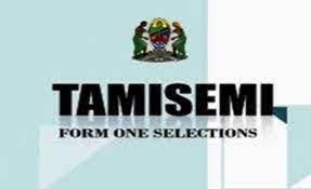 Form One Selection Igunga
