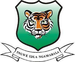 Ingwe City TVET college online application