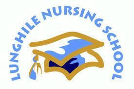 Lunghile Nursing School 2024 intake requirements and Courses | How to apply